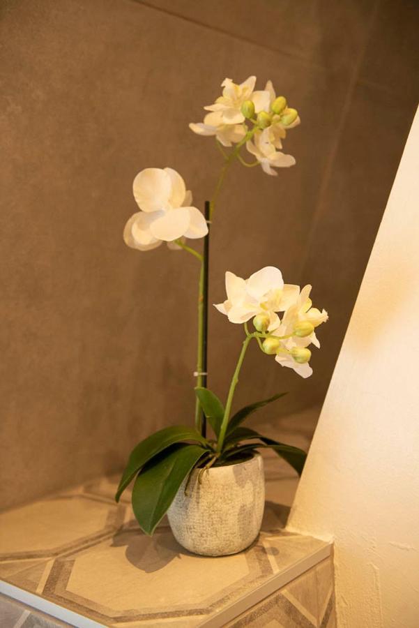 Beautiful Center In Near Medieval Castle Apartamento